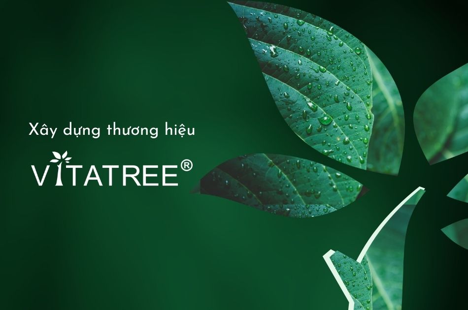 xây dựng thương hiệu Vitatree