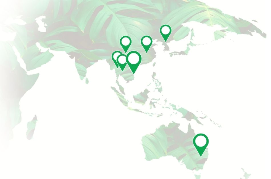 Thị trường Châu Á